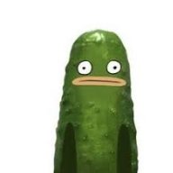 Pickle